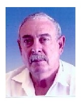 גולדנברג נחום, מהנדס